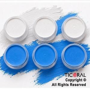 MAQUILLAJE ARTISTICO ARGENTINA CELESTE Y BLANCO (BLISTER X 6 UNIDADES - 12GR)